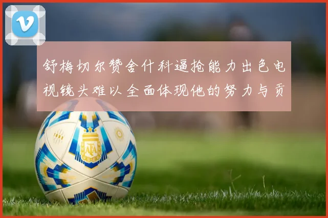 舒梅切尔赞舍什科逼抢能力出色电视镜头难以全面体现他的努力与贡献